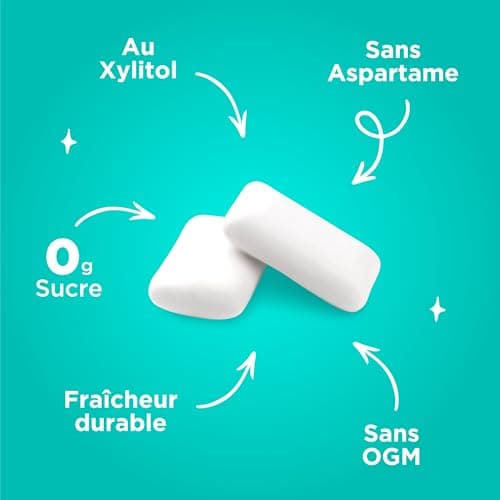Gum Naturelle Sans Sucre au Xylitol | Végétarien, Sans Aspartame et Sans Gluten | 55 Pièces (Lot de 3) au Goût de Winter