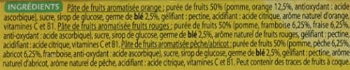 GAYELORD HAUSER Pâtes de Fruits Vitamines C B1 50% Fruits Lot de 2 x 125g