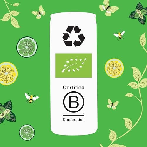 CLIPPER Boisson Rafraîchissante Bio Citron Citron Vert Menthe 0 Sucre Ajouté 25cl x 12 EU Organic
