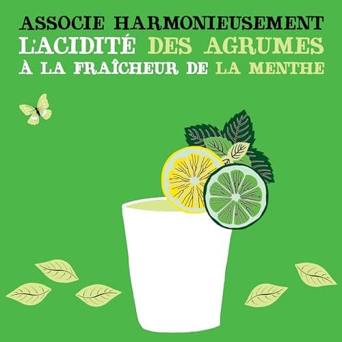 CLIPPER Boisson Rafraîchissante Bio Citron Citron Vert Menthe 0 Sucre Ajouté 25cl x 12 EU Organic