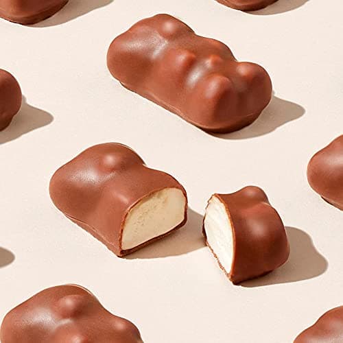 Cémoi l'Authentique petit Ourson chocolat au lait pour enfants - À déguster à l'heure du goûter - Prix compétitif - Sach