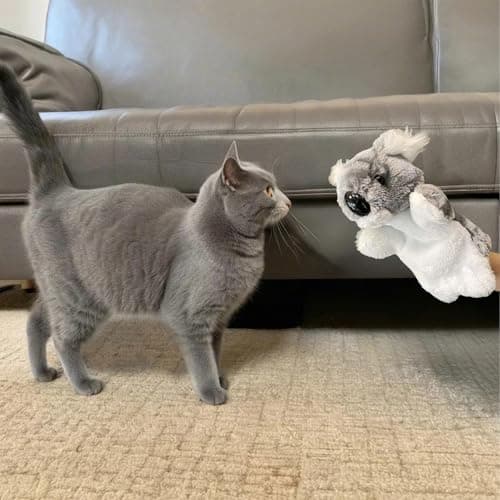 Puppets Koala Hand Jouet de Combat Chat Ennui Animal d'Entraînement Koala Peluche