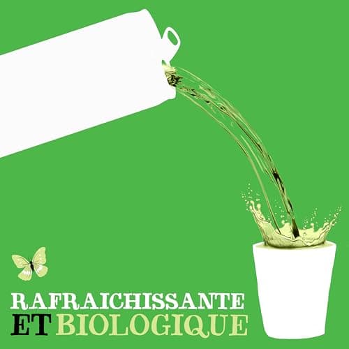 CLIPPER Boisson Rafraîchissante Bio Citron Citron Vert Menthe 0 Sucre Ajouté 25cl x 12 EU Organic