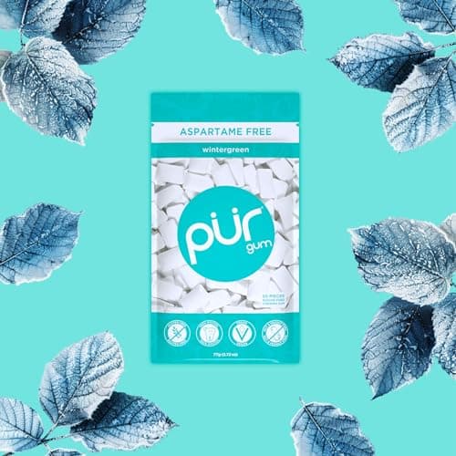 Gum Naturelle Sans Sucre au Xylitol | Végétarien, Sans Aspartame et Sans Gluten | 55 Pièces (Lot de 3) au Goût de Winter