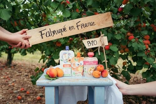 Vitabio Cool Fruits Gourdes Pomme Poire de Provence Bio - 12 x 90 g Sans Sucres Ajoutés - Snack Sain et Organique Idéal